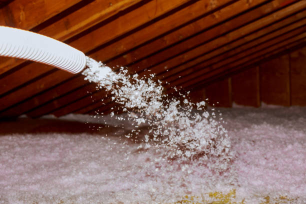 Best Insulation Removal  in Vernon Hls, IL