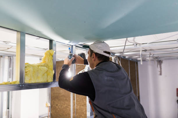 Best Professional Insulation Contractor  in Vernon Hls, IL