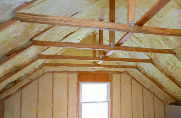 Best Spray Foam Insulation  in Vernon Hls, IL