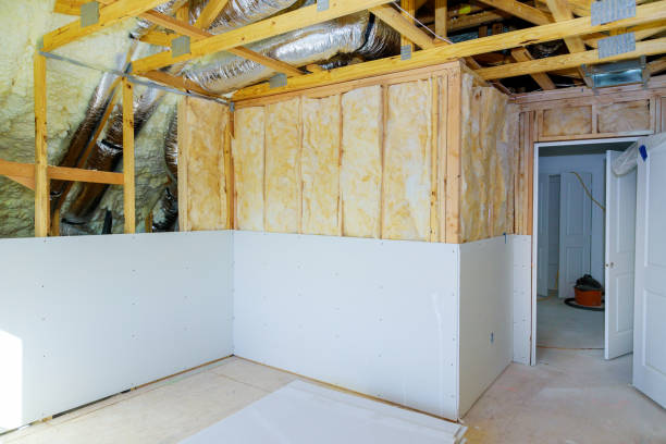 Best Insulation Repair Services  in Vernon Hls, IL