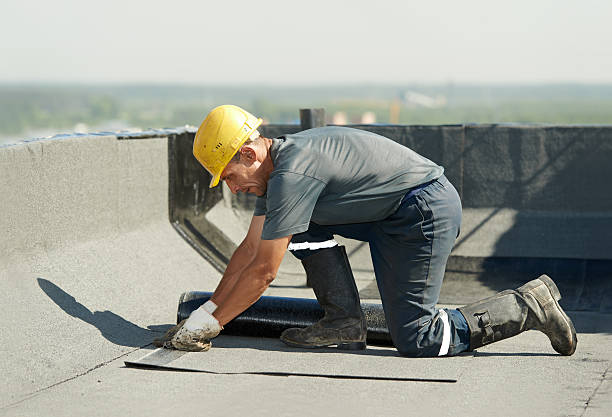 Best Attic Insulation Installation  in Vernon Hls, IL