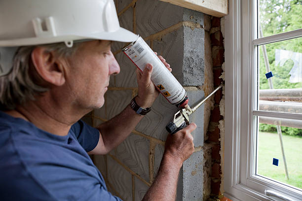 Best Residential Insulation Services  in Vernon Hls, IL