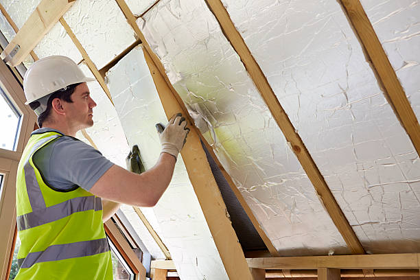 Best Spray Foam Insulation  in Vernon Hls, IL